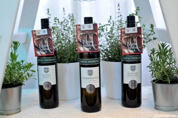 ilocki-podrumi-vino-3