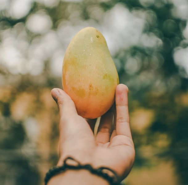 mango