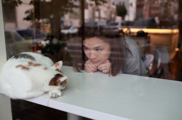 cat-cafe