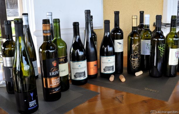 1. Summer Riesling Tasting_Međimurje  (1)_uzorci