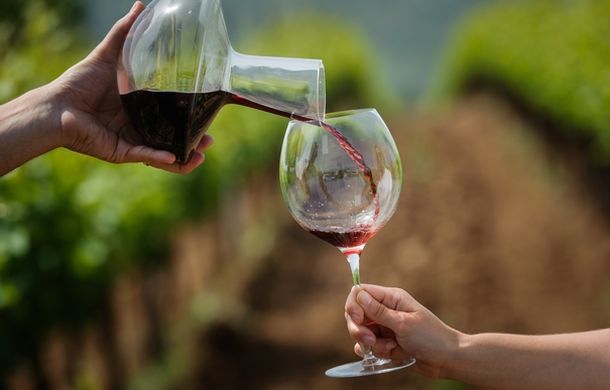 Dalmacijavino merlot