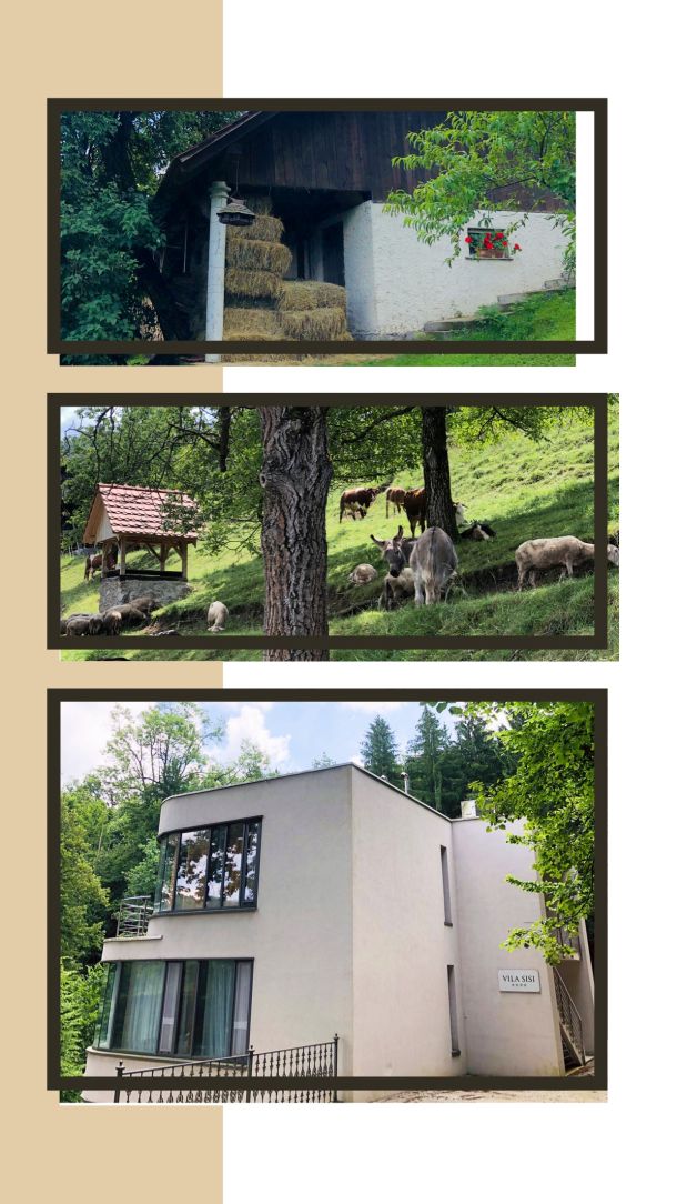 aškecov muzej vila sisi