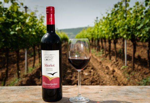 merlot dalmacijavino