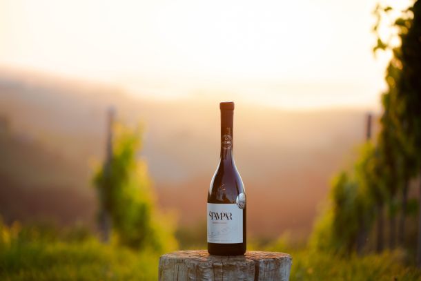 Štampar Pušipel Classic 2018-1