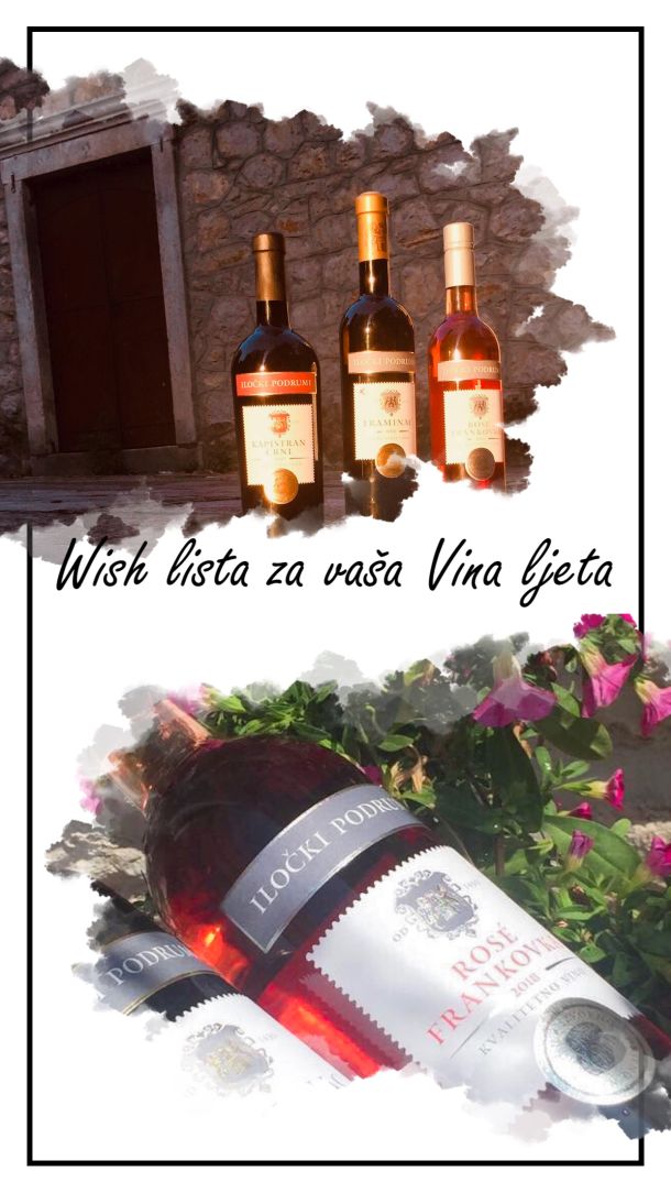 kapistran frankovka vina