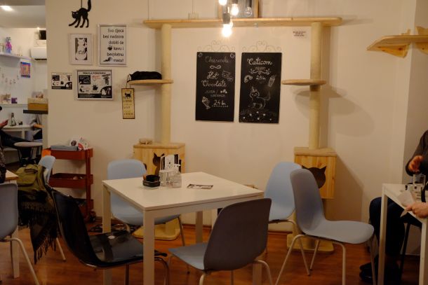 kava mace zagreb