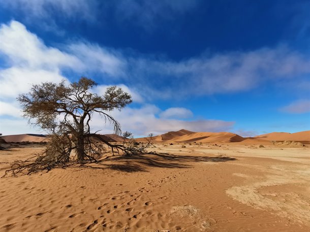 rally-afrika-namibija-11