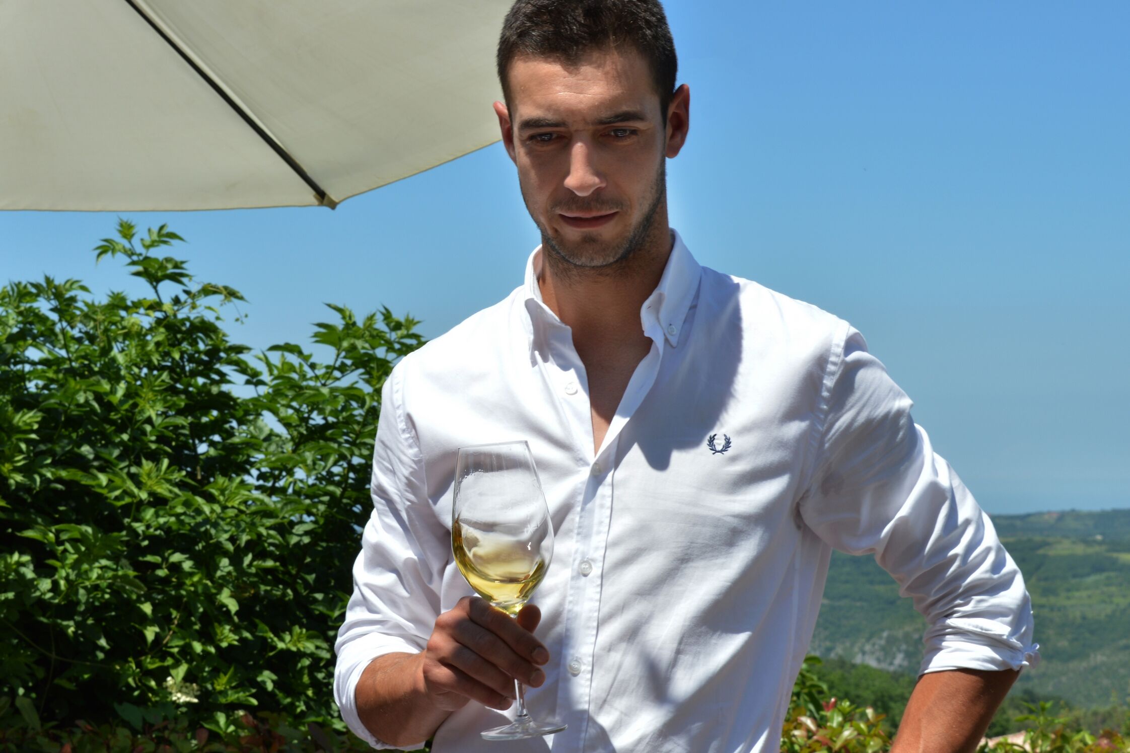 vinarija rossi istra