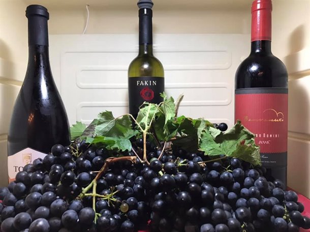 motovun-teran-wow-03