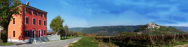 motovun-teran-wow-05