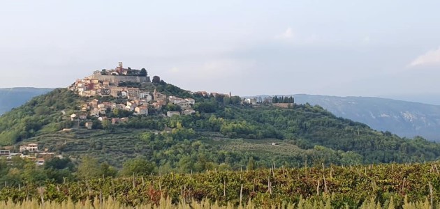 motovun-teran-wow