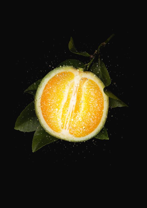 AP_Orangerie_Venise_Ingrédient_RVB