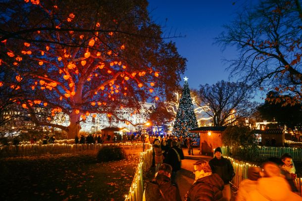 advent-u-becu-1