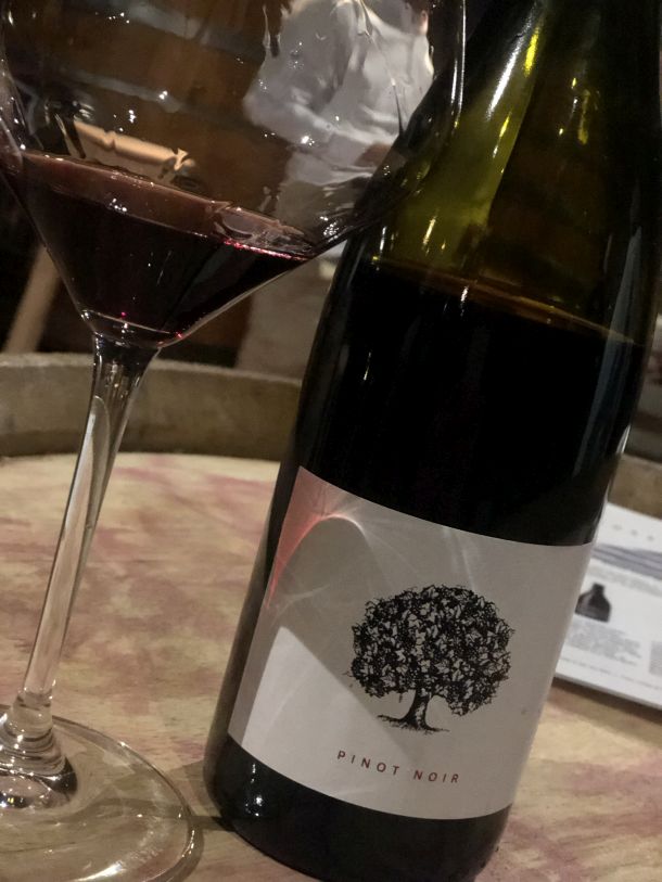 pinot noir tilia estate vinarija