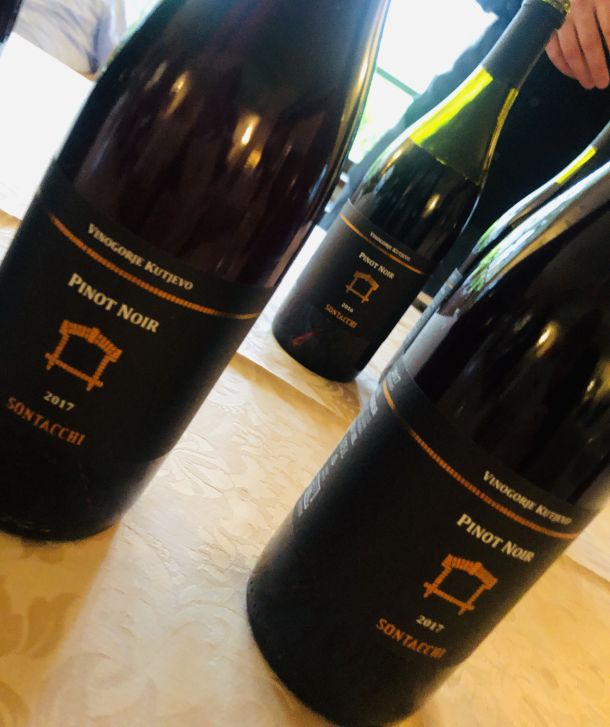 sontacchi vina pinot crni