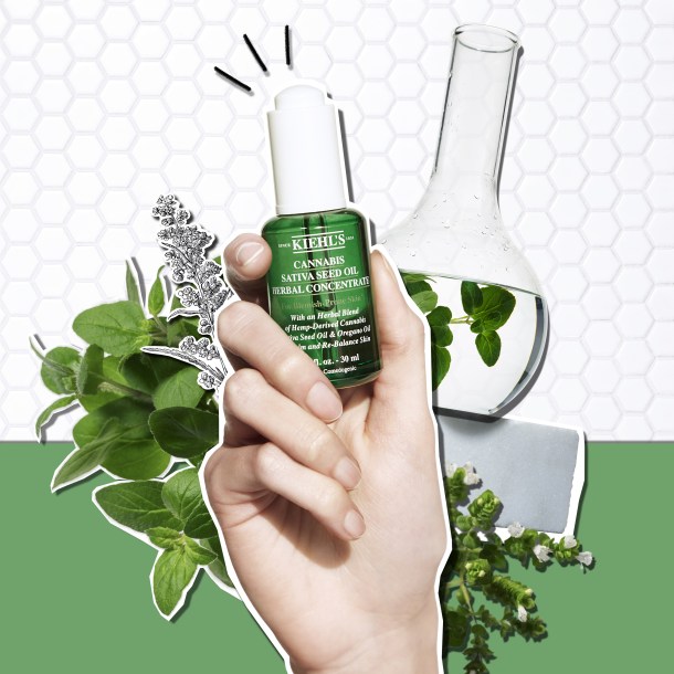 Client | Kiehls