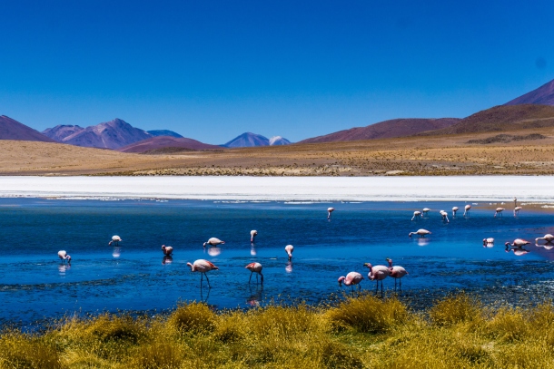 Salar de Uyuni  bolivija amerika