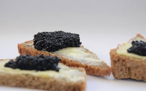 beluga kavijar caviar