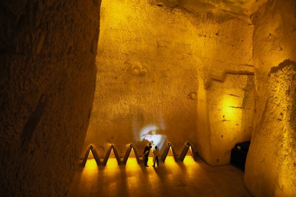 ruinart-david-shrigley-reims-1