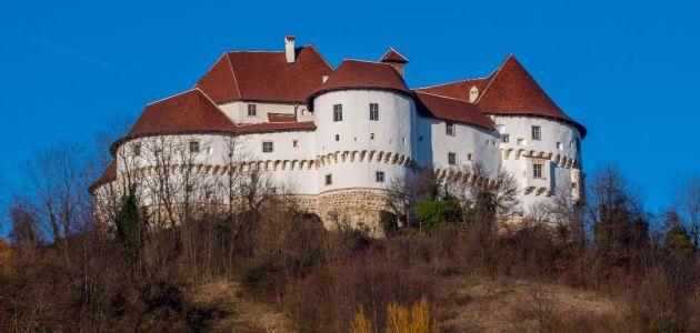dvorac-veliki-tabor