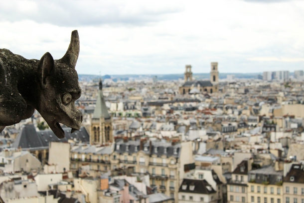 notre dame katedrala pariz vodorige