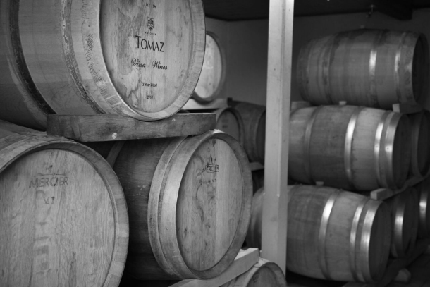 Podrum vinarija tomaz