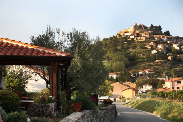 Vinarija i vino Tomaz Motovun istra