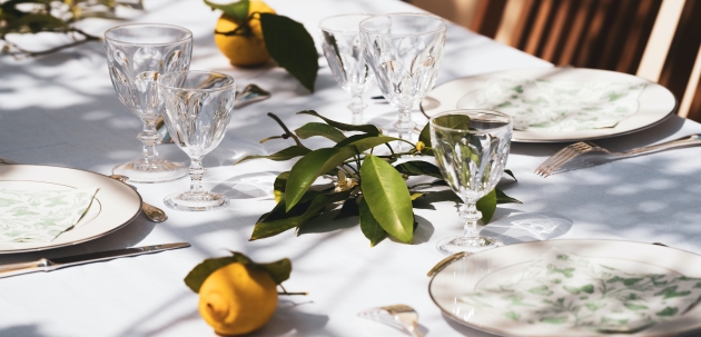 vina ljeta vinarija kutjevo