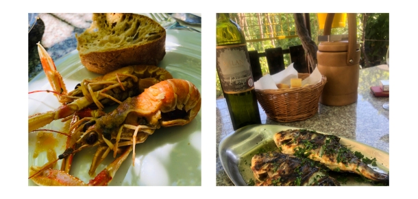 hrana uz posipbijelo vino