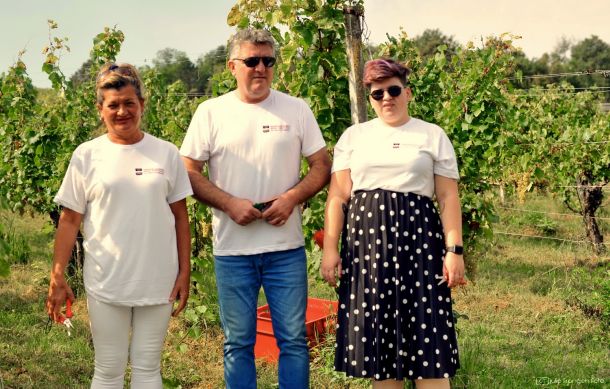 novinari-berba-grozdja-4