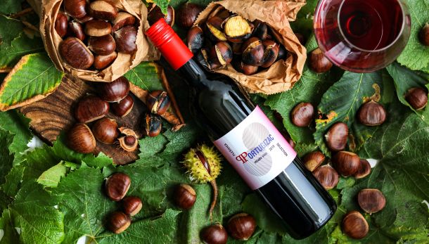 mlado vino 2020 portugizac plesivica