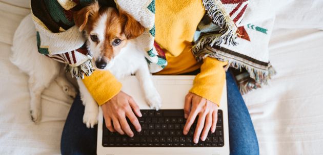 Mini kviz za ljubitelje pasa