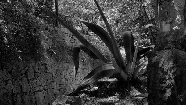 brijuni-izlozba-fotografija-3