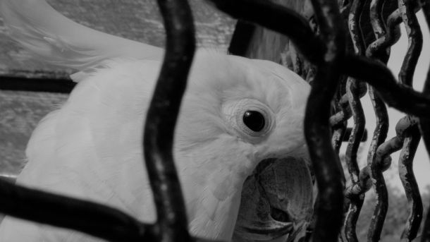 brijuni-izlozba-fotografija-5