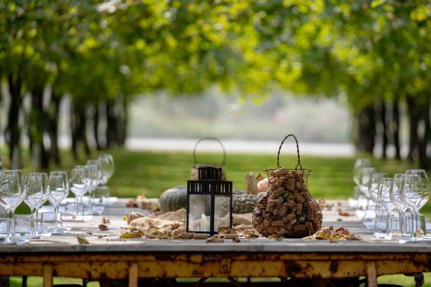 ca-di-rajo-vinarija-posjet-2