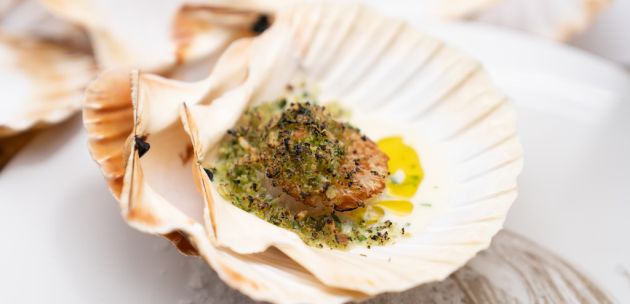 Jakobove kapice ili St. Jacques prema slasnom receptu