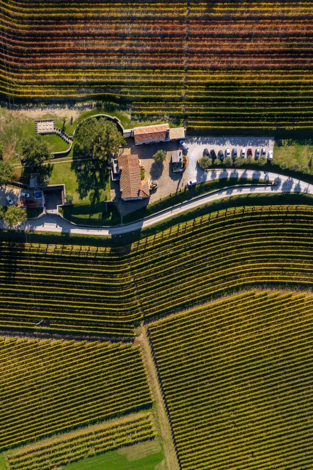 kabola-vinarija-05