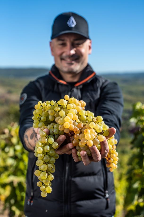 madjarska-tokaj-vino-2