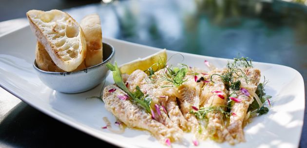 svjeza riba restoram maredo