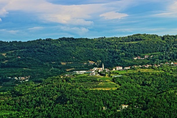 06-vinogradi-brdo
