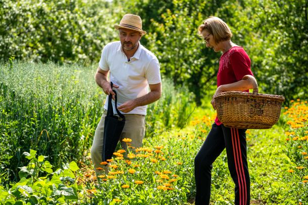 ljekovito bilje snaga biljaka travar momcilo