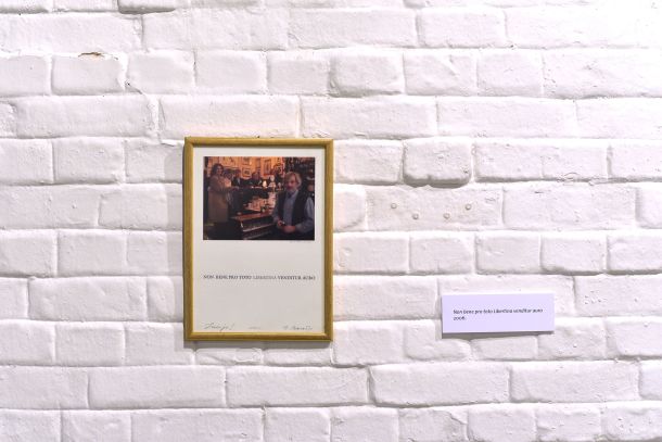 izlozba-zlatna-zila-4