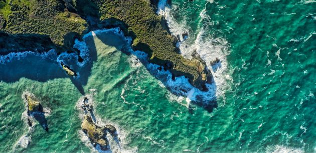 Odakle dolaze najveličanstvenije životinje našega planeta?