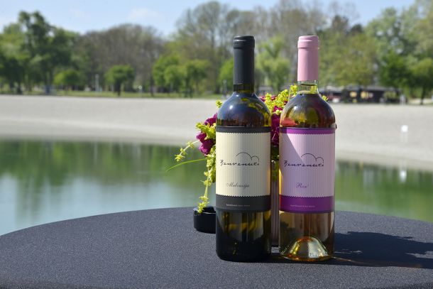 benvenuti-vina