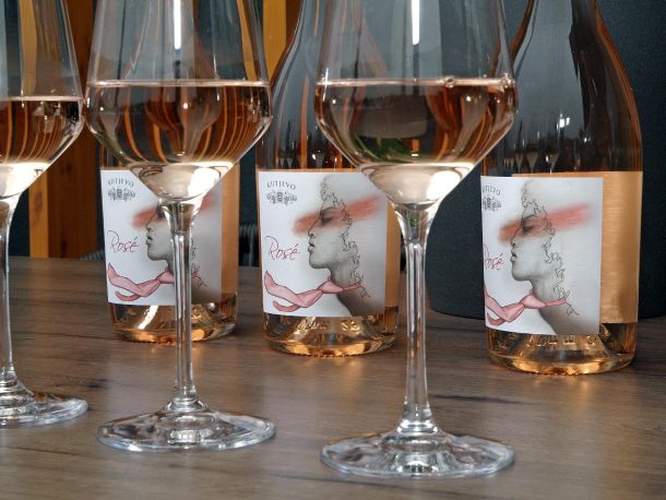 Camping rose vino kutjevo