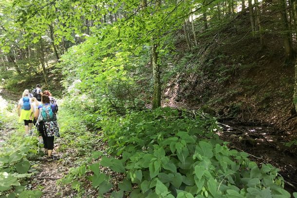 Planinarenje hodanje pjesackom stazom papuk