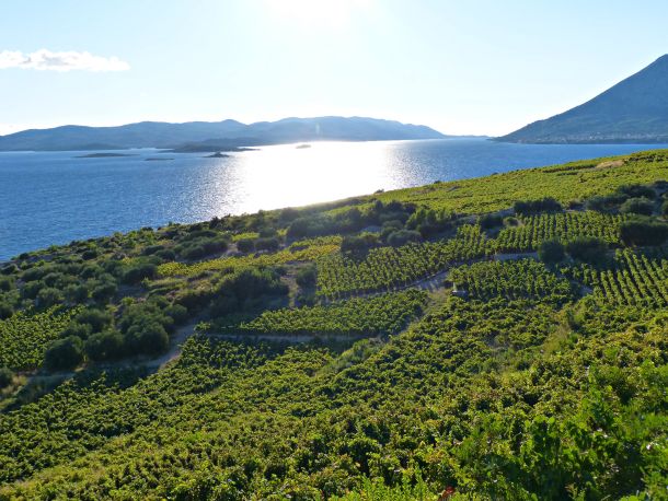 peljesac-postup