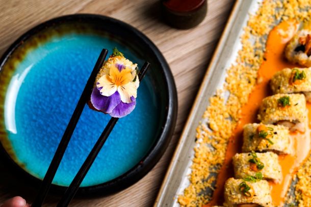 Takenoko_Nikkei koncept (1)