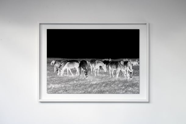 fotografija Slavka Pavić izlozba