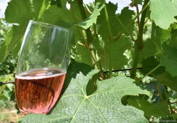 pjenusavi-dorucak-ilok-1